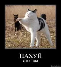 69bbe6c5084827c71c5a08a9440f398d.webp