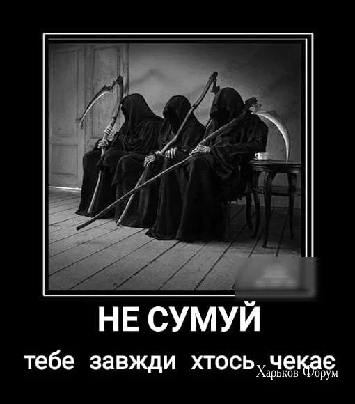 69c2d2b67af5be4f84117f1.webp