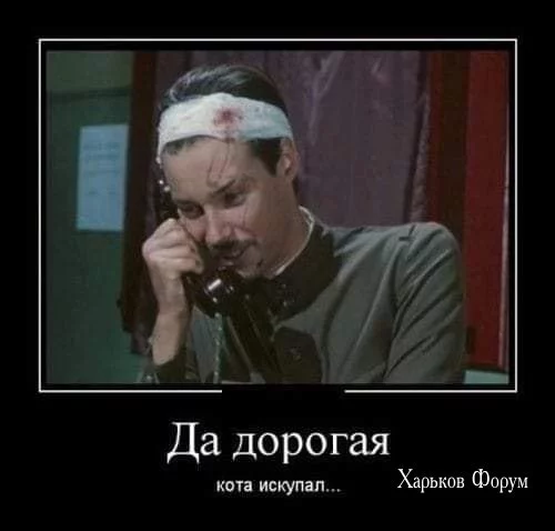 69dd690f2e4ecb970f58cae.webp