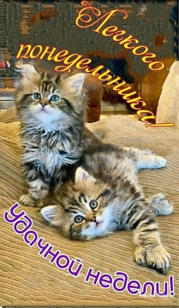 69e0ebad1ff8b5594d.webp