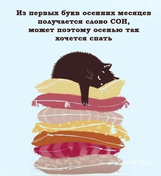 69e3cf28523a9e1f7822fce5.webp