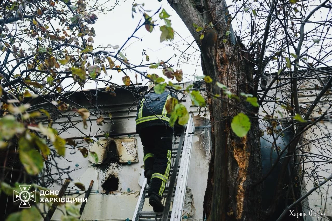 6_690497712b15a.webp 6_690497712b15a.webp