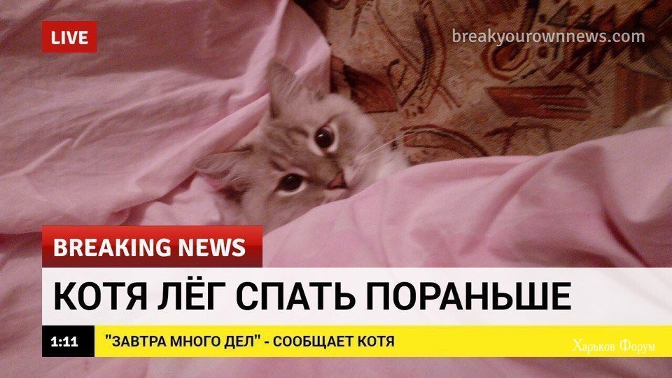 6a3a835dab0ecdc1b32.jpg