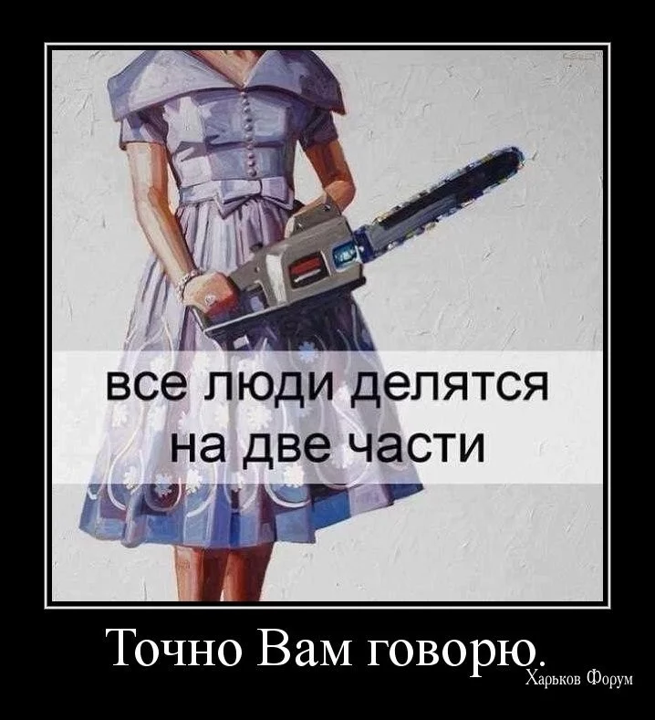 6a5e23403f733161648.webp