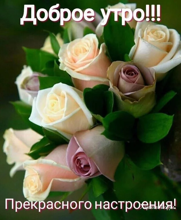 6a67429509cda73c44.webp
