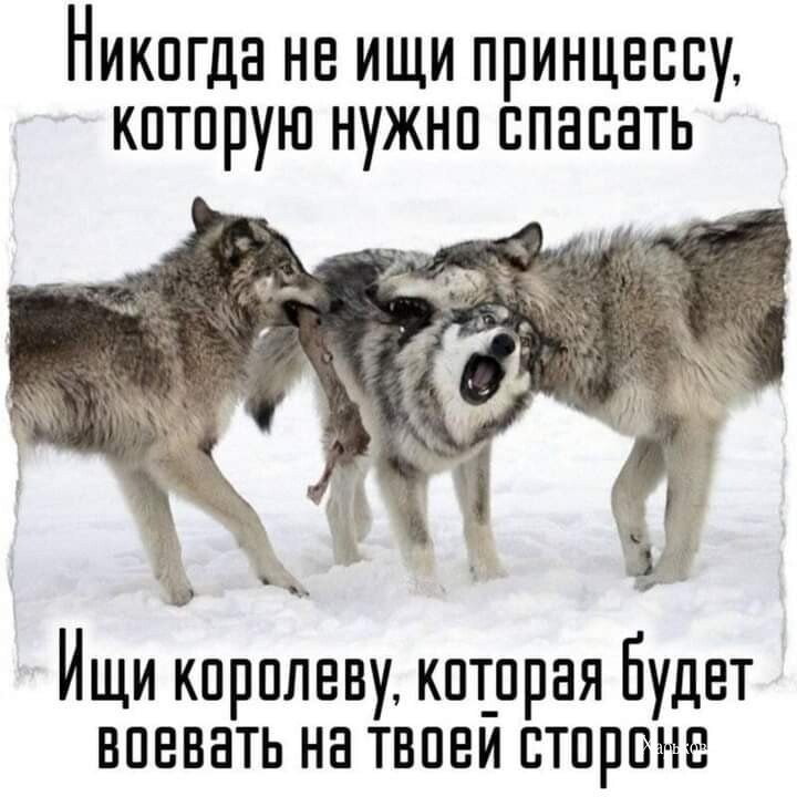 6a7c66bf63d9c289bb07.jpg