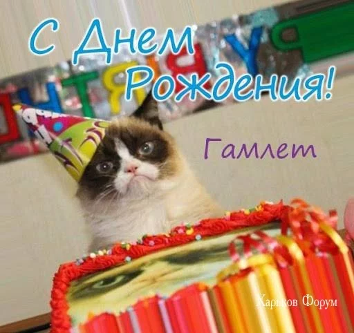 6a7f98b090401f09519006.webp