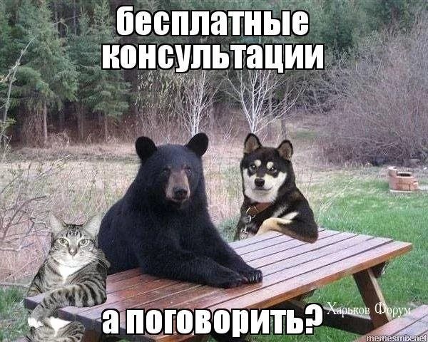 6a9f84839867b6a1bb255.webp