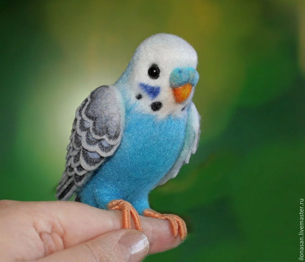 6aaf1f7cc8a7a1851e193c73b36714b9.webp
