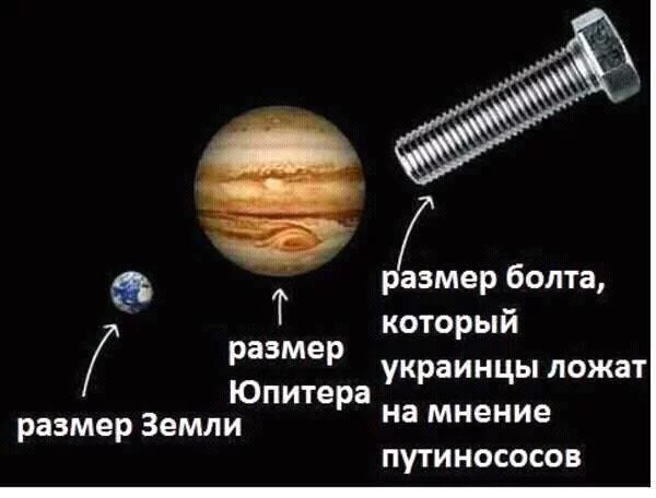 6abacc.webp