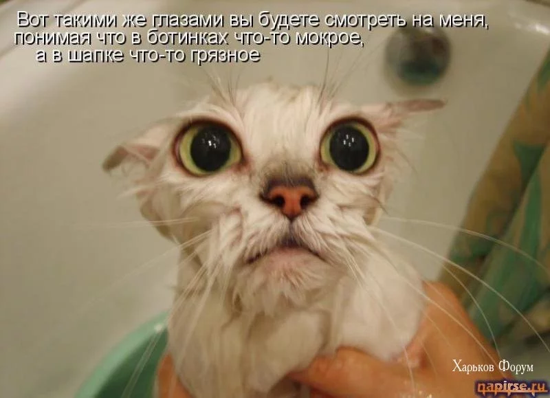 6abb8cf096ad6fb90463fd5.webp