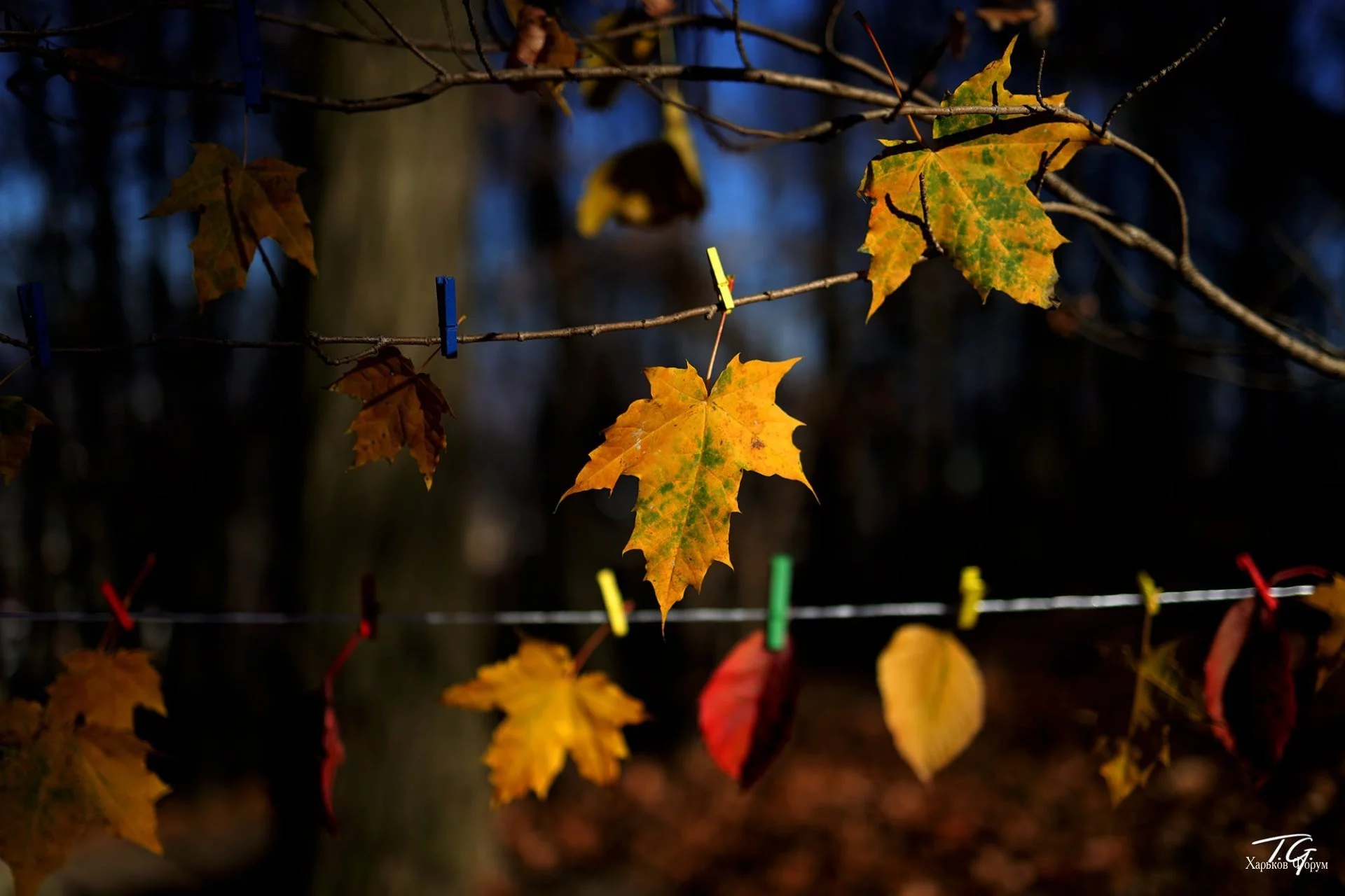 6ad097909c3dc45934dbe230.webp