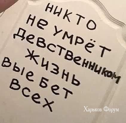6adc05afc83a309583fe0.jpg
