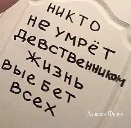 6adc05afc83a309583fe0.webp