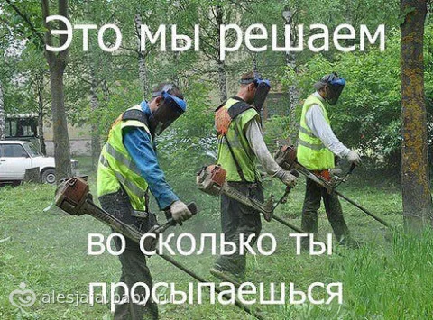 6adhgb.webp