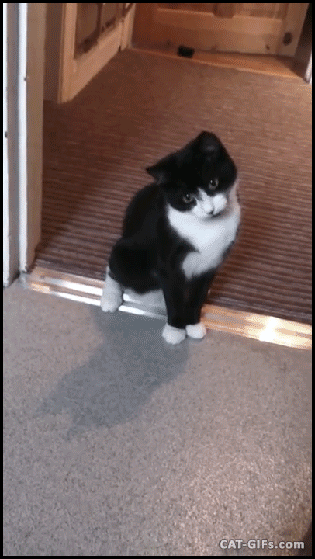 6adjac.gif
