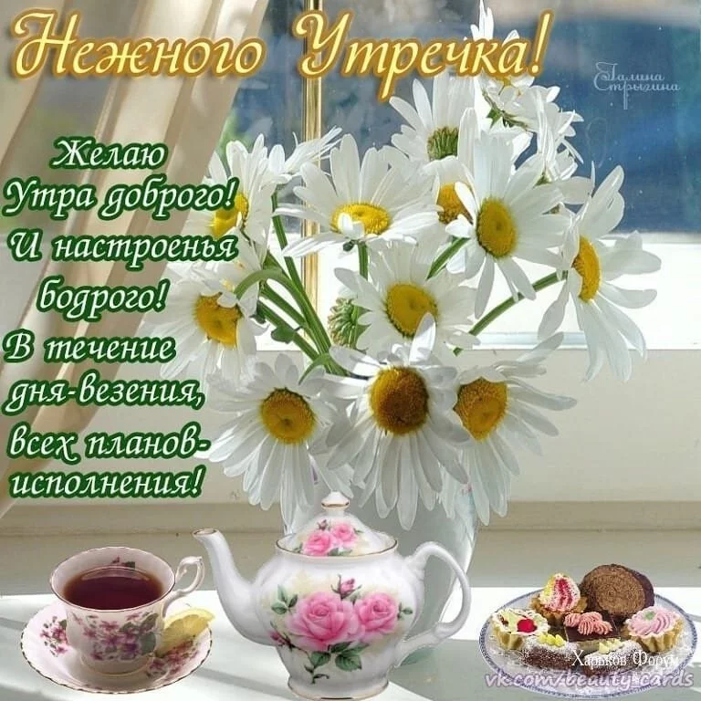 6aed8c93a563d1323b1f209.webp