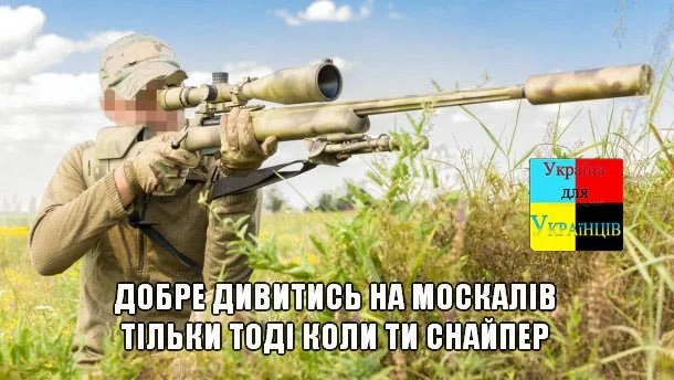 6afhdg.webp