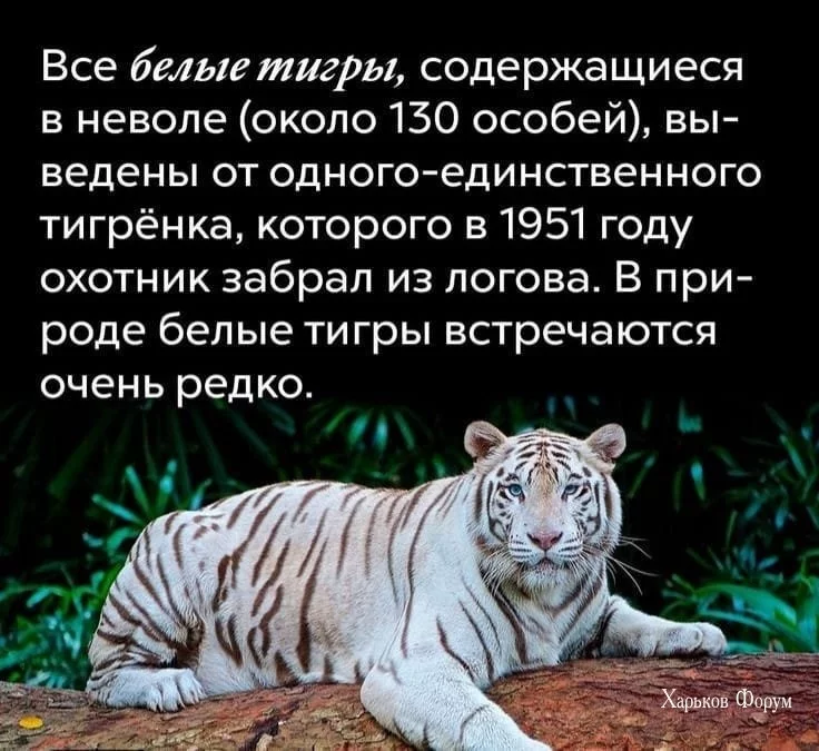 6b15b7823305f605c2881.webp