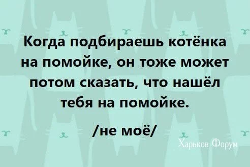6b1c97691f557533f7c1.webp