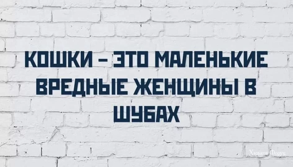 6b4db19a36c26b713a.webp