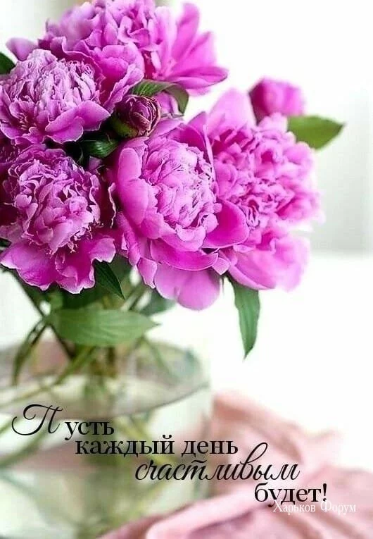 6b4f7d27cc376d36d58e.webp