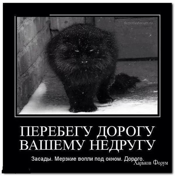 6b599a6e162fd6d2f.webp
