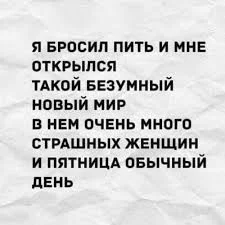 6b95ea803d02c4e3e098e71654e37648d14e7a03.webp