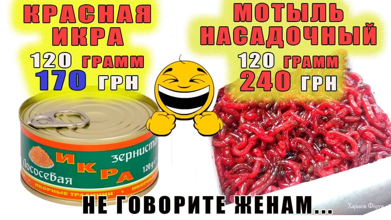 6bb4c36f81ff277d5a6210a3.webp