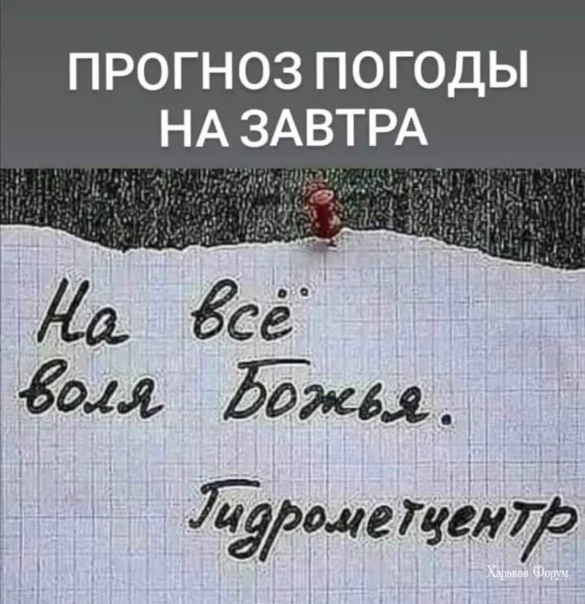 6bb95955d85f7b9bf5ba48b.webp