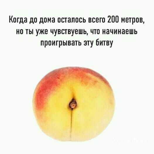 6bbd9b6fd2f0cdd1c8715b6.jpg