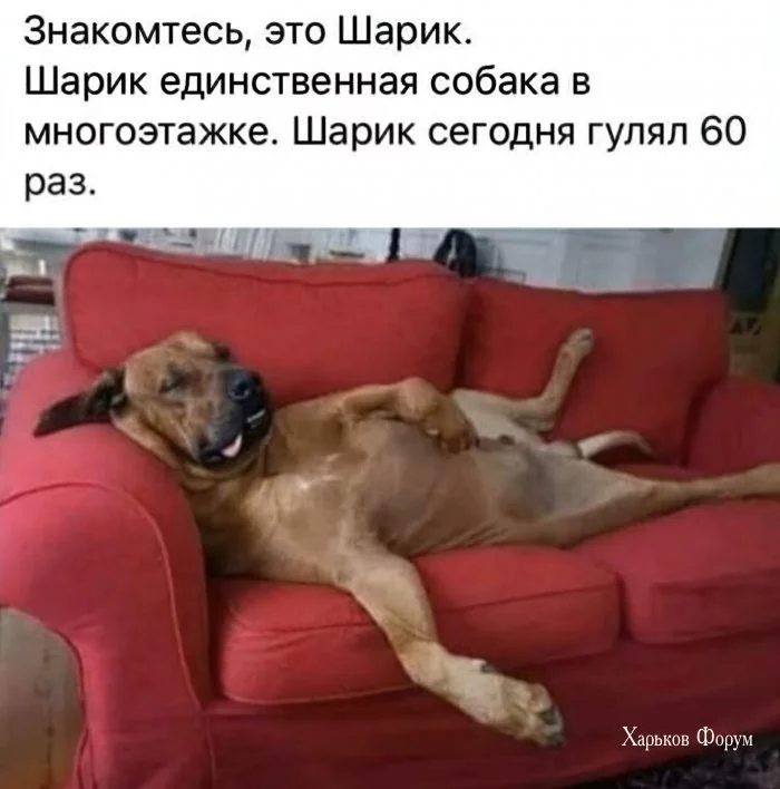 6bc12c1d1732cef939273.webp