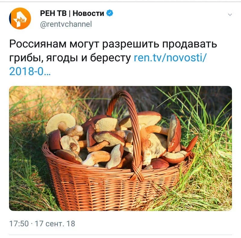 6bcbdf.webp
