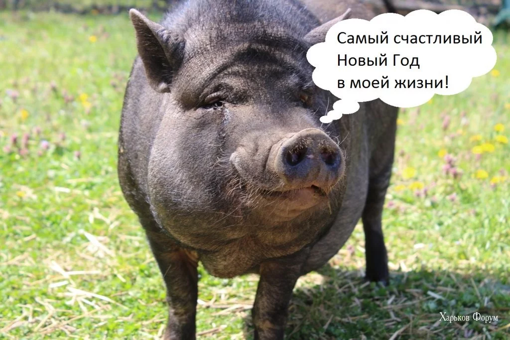 6bd54af104cd3faf60e6.webp