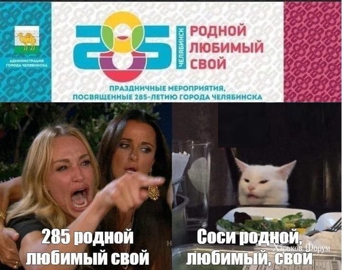 6be74f23efd398eee7ade.jpg