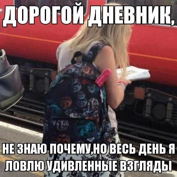 6bfhch.webp