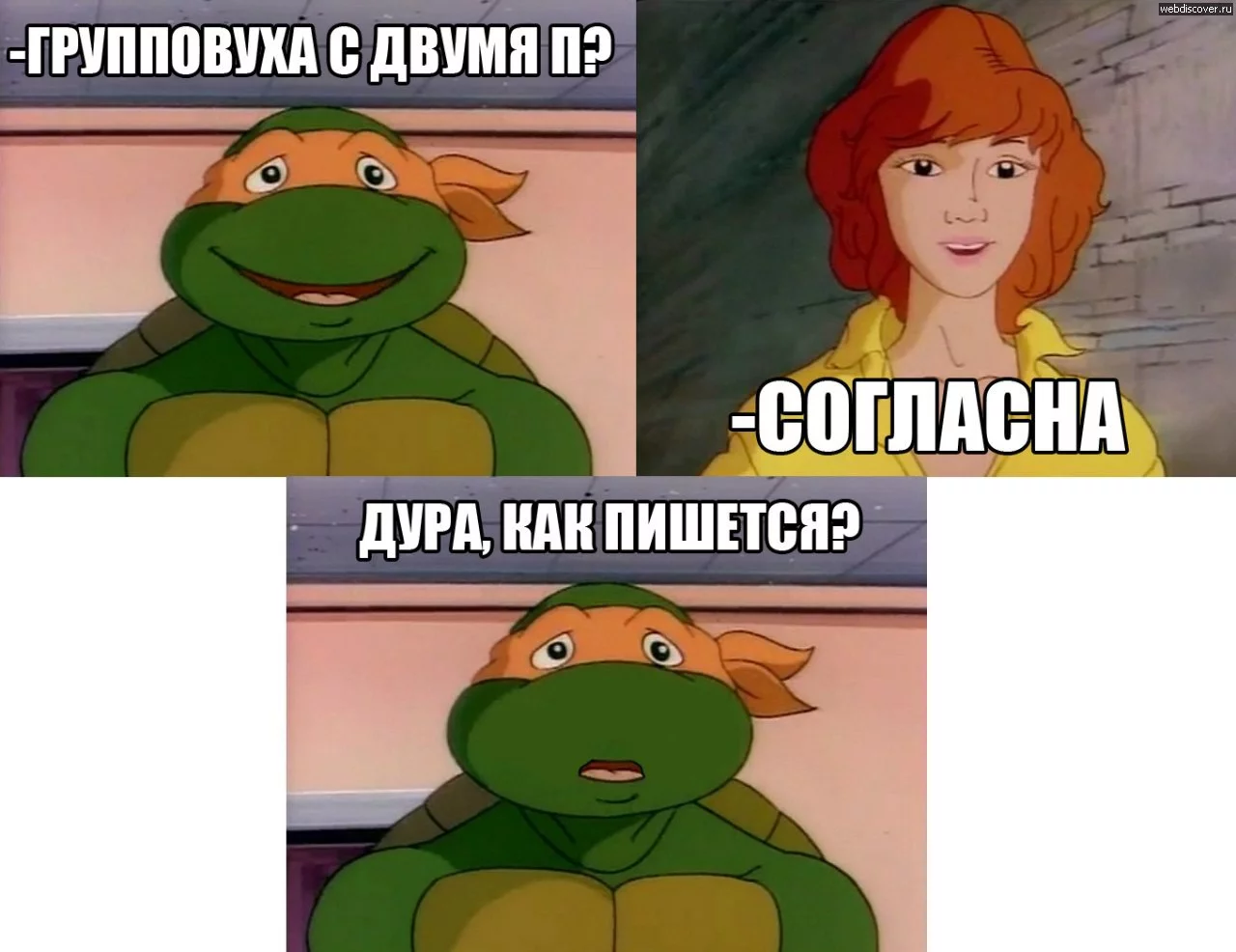 6bhhbb.webp