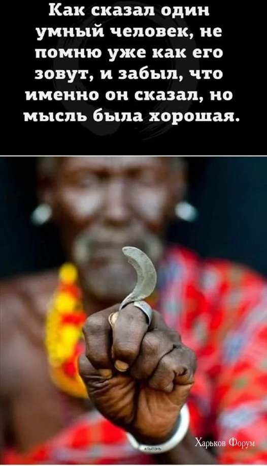 6c030a3209895576de602.webp