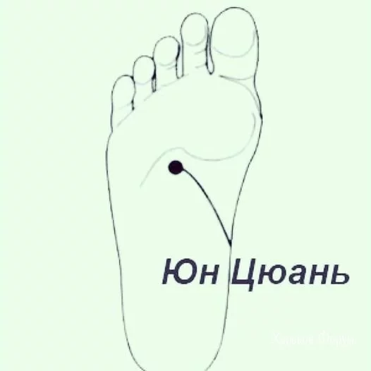 6c10e1f9b263d19546372e.webp