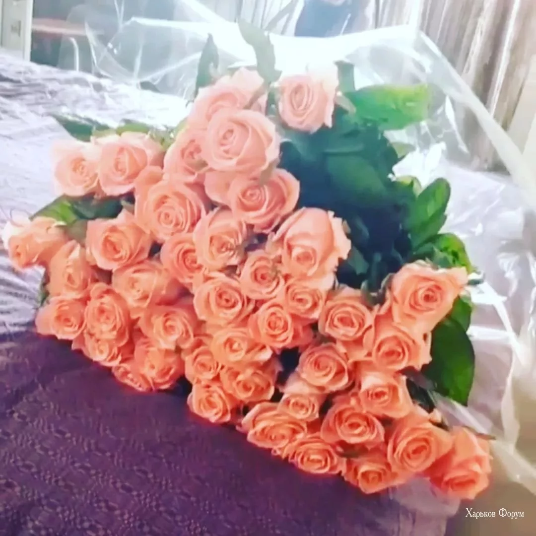 6c1631906280f578f1.webp