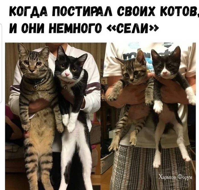 6c1e6c5a611905c6e6.webp