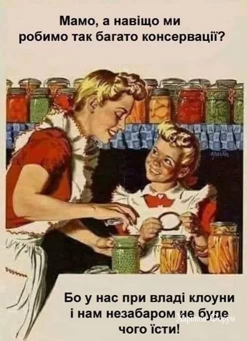 6c2d5f805c65393d4d1e36f.webp