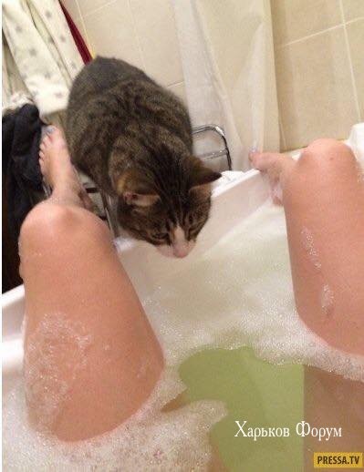 6c37d4a4ba07fc8bee0.jpg
