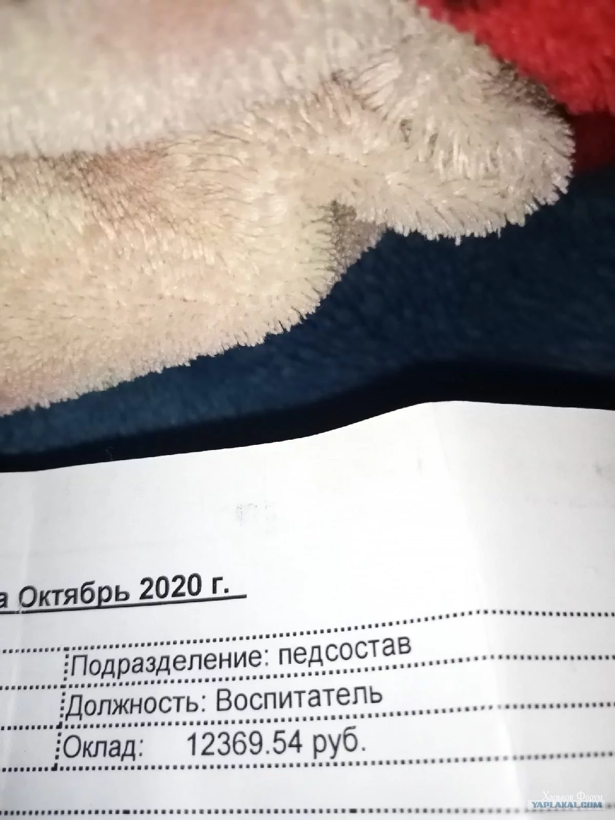 6c5f97c14c23cf87d1.webp