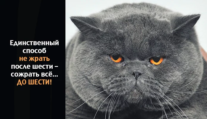 6c708487f722025c16f6c70bd9f85fb7.webp