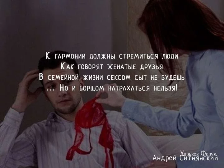 6c79566575ffb6d08e.webp