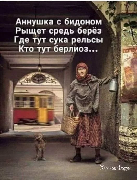 6c8f0bf2516eb548.webp
