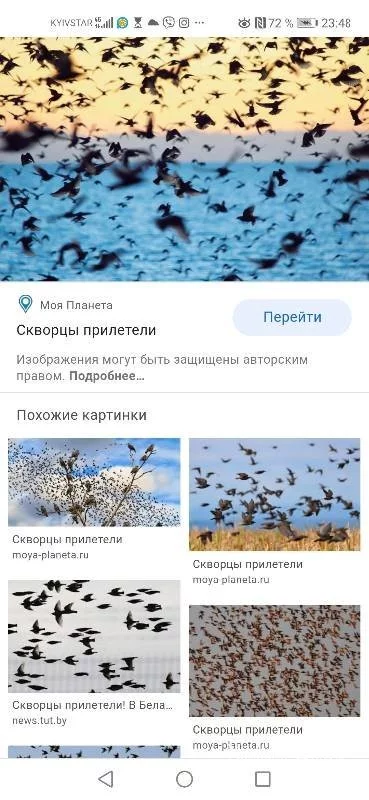 6cacdcffd408d8ae6d1f57.webp