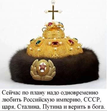6cadcg.webp