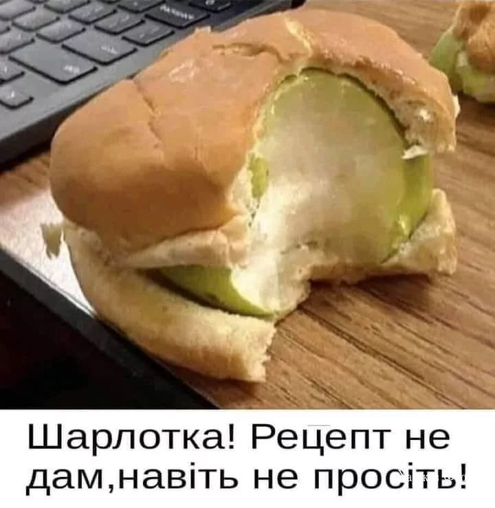 6cc890431e829a875.webp